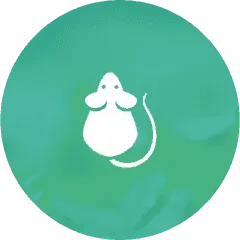 Rodents