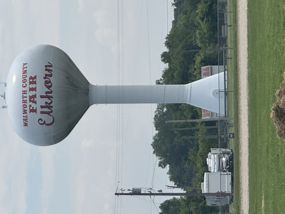 Elkhorn